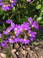 View photo in a new window