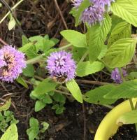 View photo in a new window