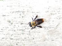 View photo in a new window