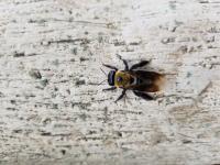 View photo in a new window