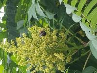 View photo in a new window