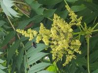 View photo in a new window