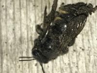 View photo in a new window