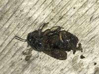 View photo in a new window