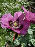 View photo in a new window