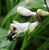 View photo in a new window