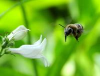 View photo in a new window