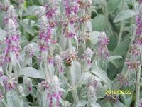 View photo in a new window