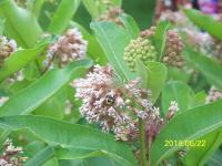 View photo in a new window