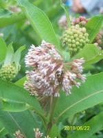 View photo in a new window