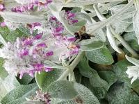 View photo in a new window