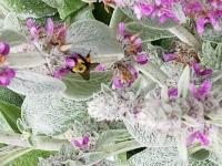 View photo in a new window