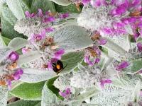 View photo in a new window