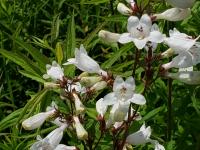 View photo in a new window