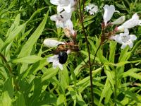 View photo in a new window