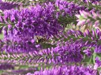 View photo in a new window