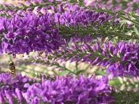 View photo in a new window