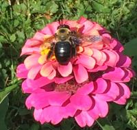 View photo in a new window