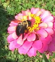 View photo in a new window