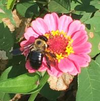 View photo in a new window