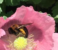 View photo in a new window