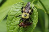 View photo in a new window