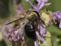 View photo in a new window