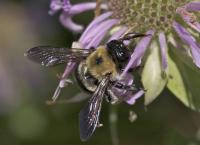 View photo in a new window