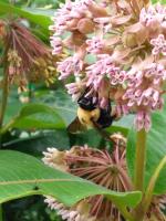 View photo in a new window