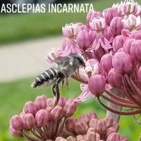 View photo in a new window