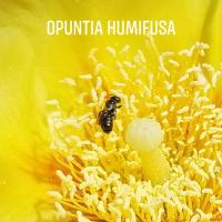 View photo in a new window