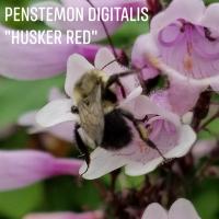 View photo in a new window