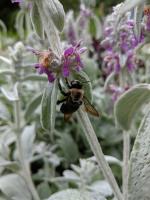 View photo in a new window