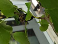 View photo in a new window