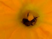 View photo in a new window