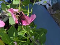 View photo in a new window