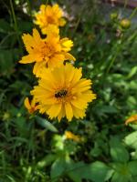 View photo in a new window