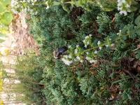 View photo in a new window