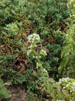 View photo in a new window