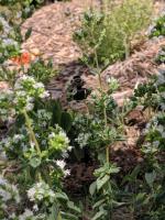 View photo in a new window