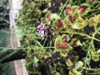 View photo in a new window