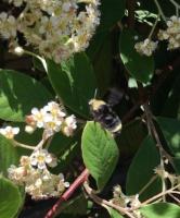 View photo in a new window