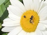 View photo in a new window