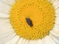 View photo in a new window