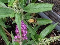 View photo in a new window