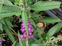 View photo in a new window