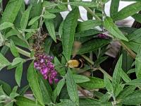 View photo in a new window