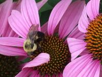 View photo in a new window