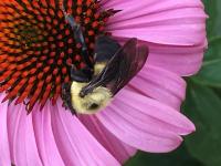 View photo in a new window