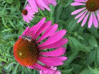 View photo in a new window